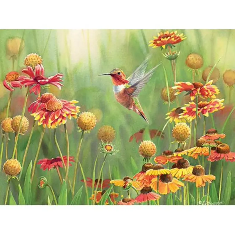 Rufous Hummingbird Puzzle – Nature-Inspired 500-Piece Jigsaw (85027) 1