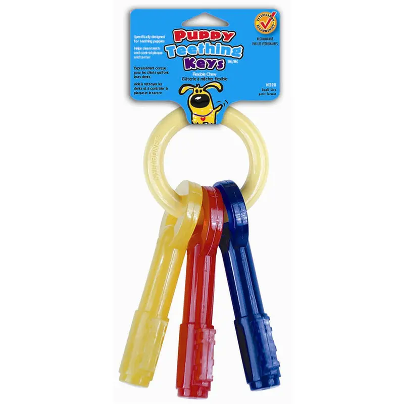 Small Puppy Teething Chew Keys For Gentle Play 1