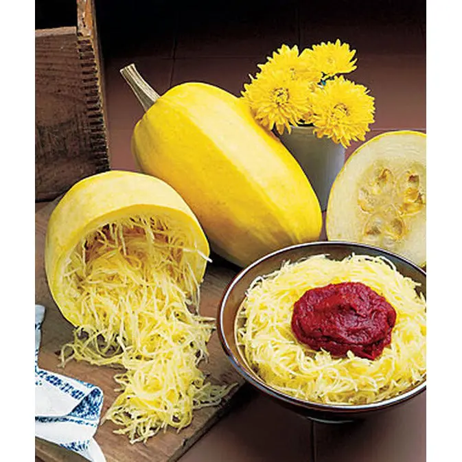Spaghetti Squash Seeds – Unique Pasta-Style Winter Squash Pack 1