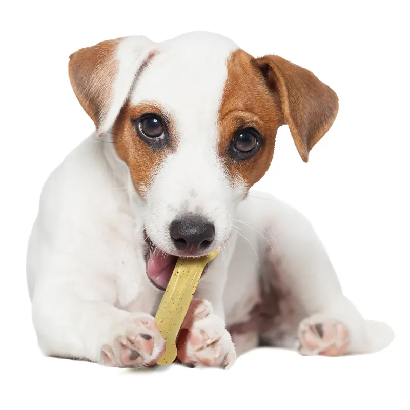 Standard-Density Chicken-Flavored Dry Chew Toy For Moderate Chewers 1