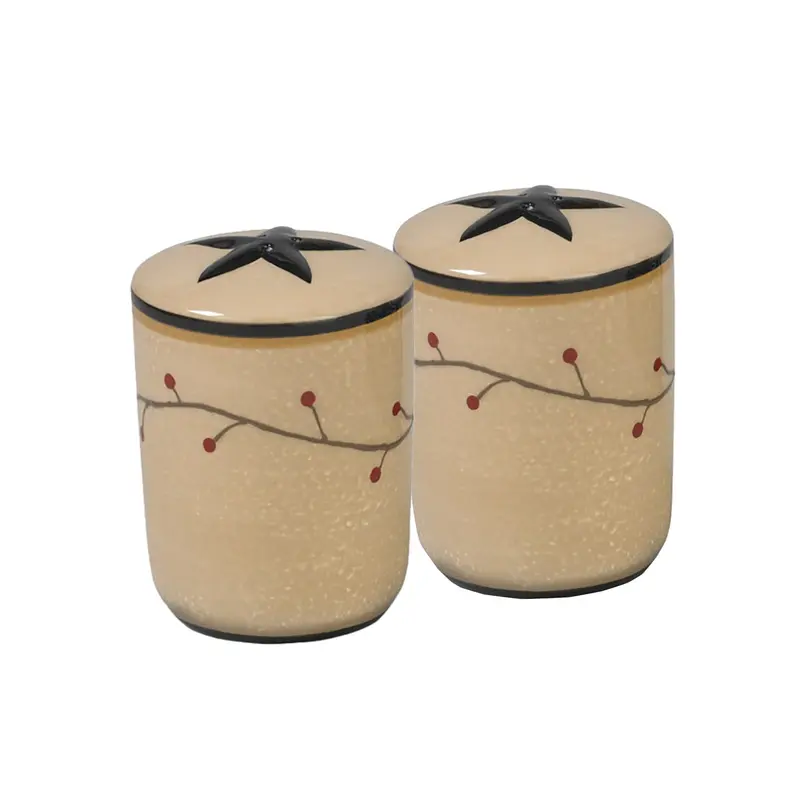 Star Vine Salt And Pepper Shaker Set – Ceramic Condiment Pair 307-678 1