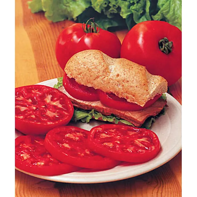 Steak Sandwich Tomato Seeds – Large-Fruited, Beefsteak-Style Hybrid 1