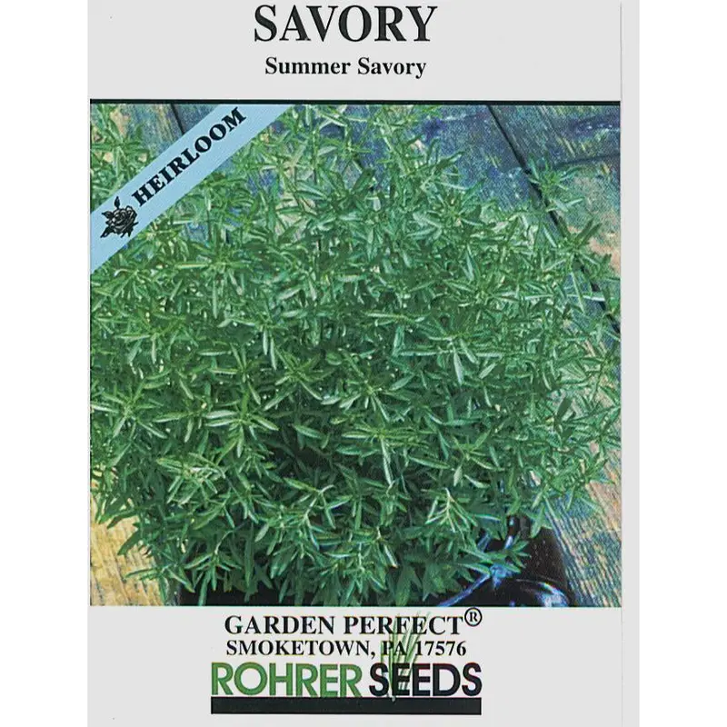 Summer Savory Herb Seeds – Aromatic Annual Seasoning Plant (9915400) 1