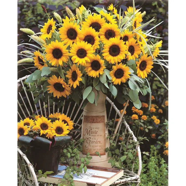 Sunrich Orange Sunflower Seeds – Non-Gmo, High-Yield Variety (Sku 9936600) 1