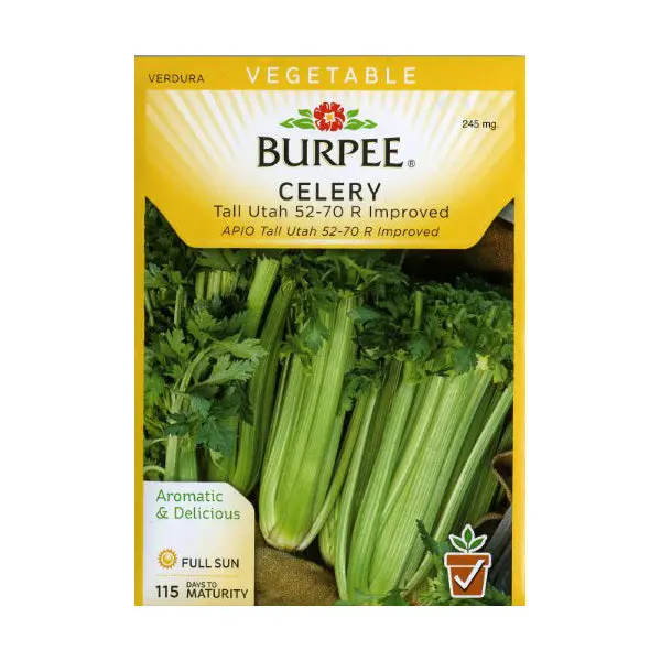 Tall Utah 52-70R Improved Celery Seeds – Heirloom-Style Cultivar Pack 1