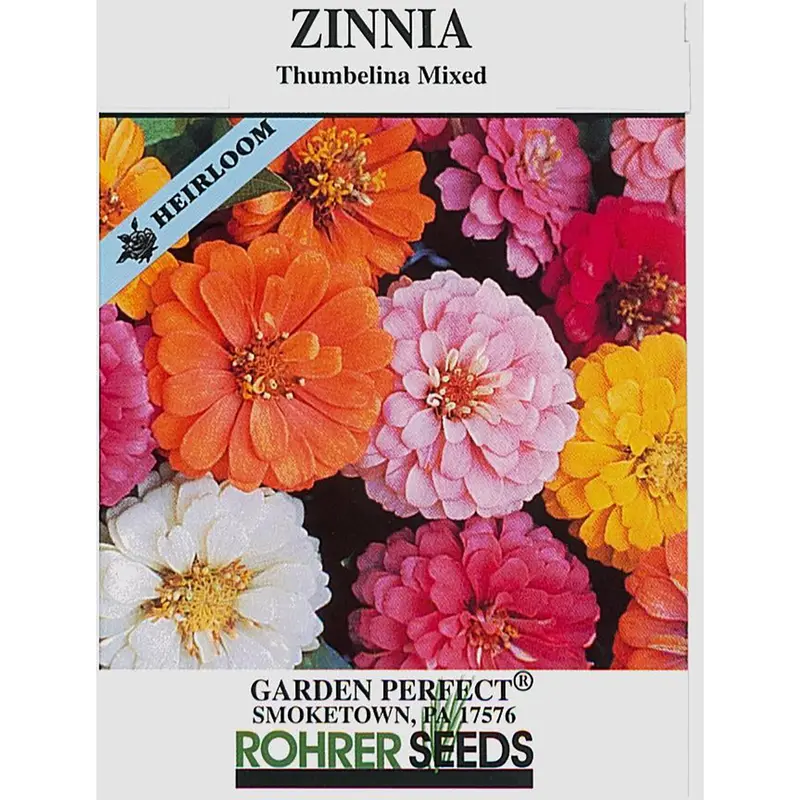 Thumbelina Mix Zinnia Seeds – Dwarf, Multicolor, Early-Flowering Blend 1