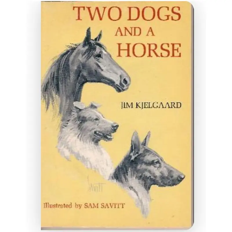 Two Dogs And A Horse – Whimsical Animal Tale For Young Readers (Product Code 65740) 1