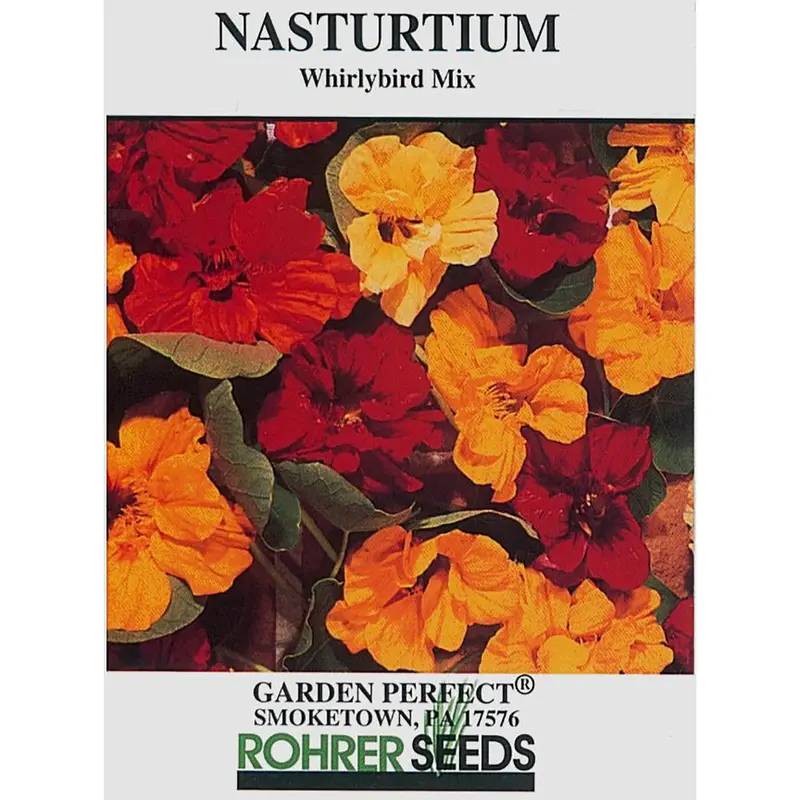 Whirlybird Mix Nasturtium Seeds – Edible, Trailing, Multicolored Annuals 1