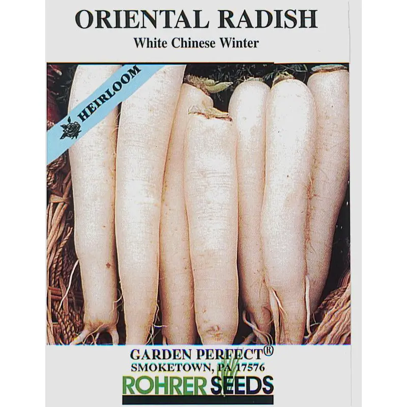 White Chinese Winter Radish Seeds – Daikon-Type, Cold-Hardy & Storage-Ready 1