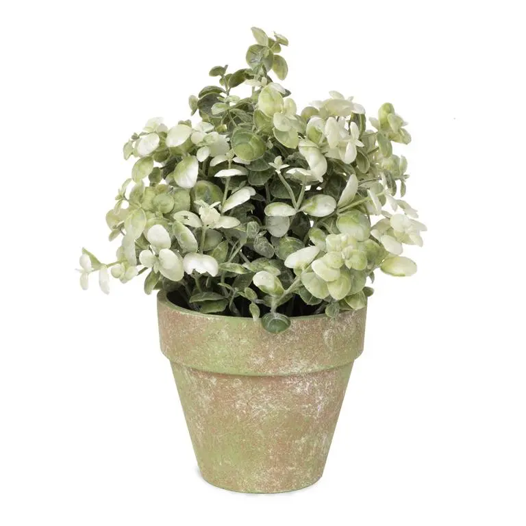 White-Foliage Greenery Arrangement In Distressed Ceramic Pot (241-70369) 1