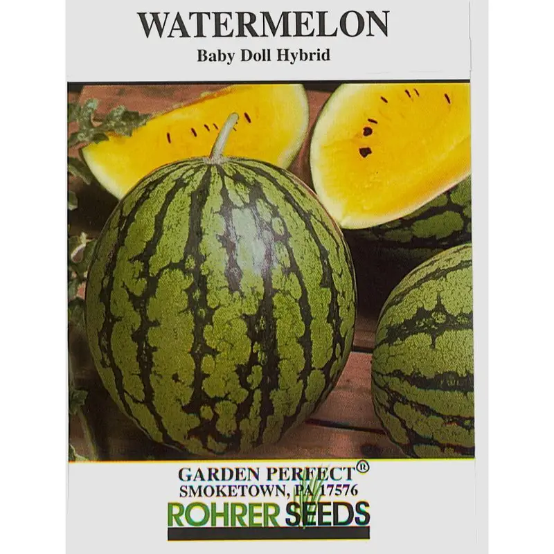 Yellow Baby Doll Watermelon Seeds – Small, Sweet Yellow-Fleshed Variety (9912850) 1